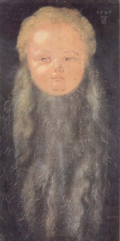 Albrecht Durer Portrait of a boy with a long beard